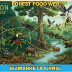 amazon rainforest food web